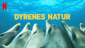 Dyrenes natur (2022)